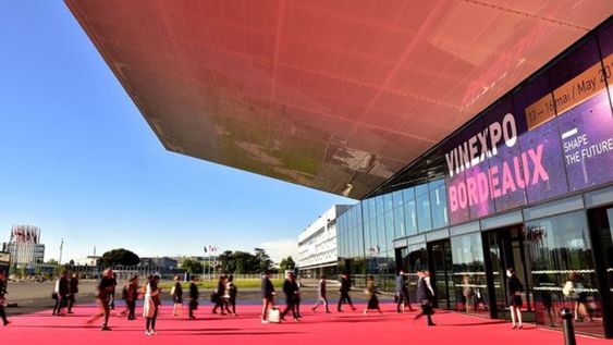 Coronavirus: Vinitaly y Vinexpo también decidieron posponer sus ferias de vinos