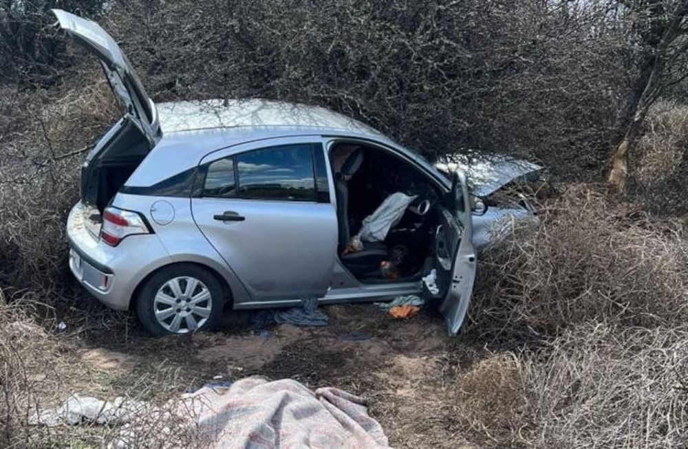 Tres hombres de General Alvear murieron en un accidente registrado en La Pampa. Gentileza Diario de La Pampa.