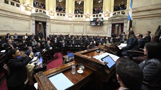 Se inicia en el Senado una pelea entre oficialismo y opositores duros por el proyecto de aumento a las jubilaciones. Foto NA: COMUNICACION SENADO