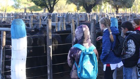 La Fiesta Nacional de la Ganadería de Zonas Áridas también ofrece actividades educativas y recreativas para niños, adolescentes y jóvenes. Foto: Gentileza