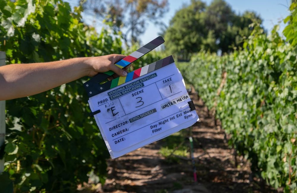 El Gobierno de Mendoza quiere -y avanza en las conversaciones- para que el audiovisual del Especial Vendimia 2021 se pueda ver en las salas de cine de Mendoza.