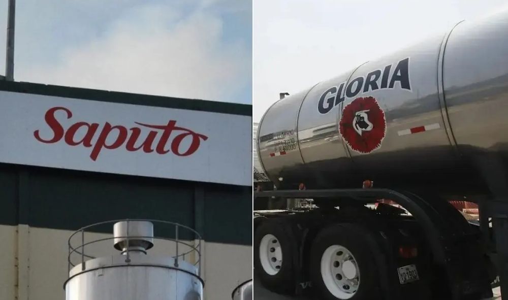 Gloria Foods, la empresa matriz de lácteos Soprole, se quedó con el 80% de Saputo en Argentina