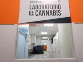 Laboratorio Cannabis Medicinal: inauguraron en Mendoza un laboratorio para analizar muestras de cannabis en 15 minutos, eliminando la necesidad de enviarlas a otras provincias. Foto: gentileza Gobierno de Mendoza