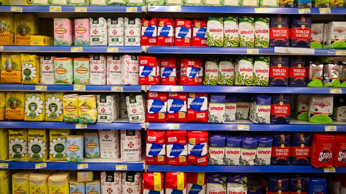 Conflicto: empresa yerbatera denunció que Misiones ya le cobró 307 años de impuestos por adelantado