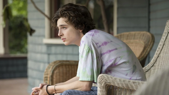 Timothée Chalamet y la película que proganiza en Prime Video.