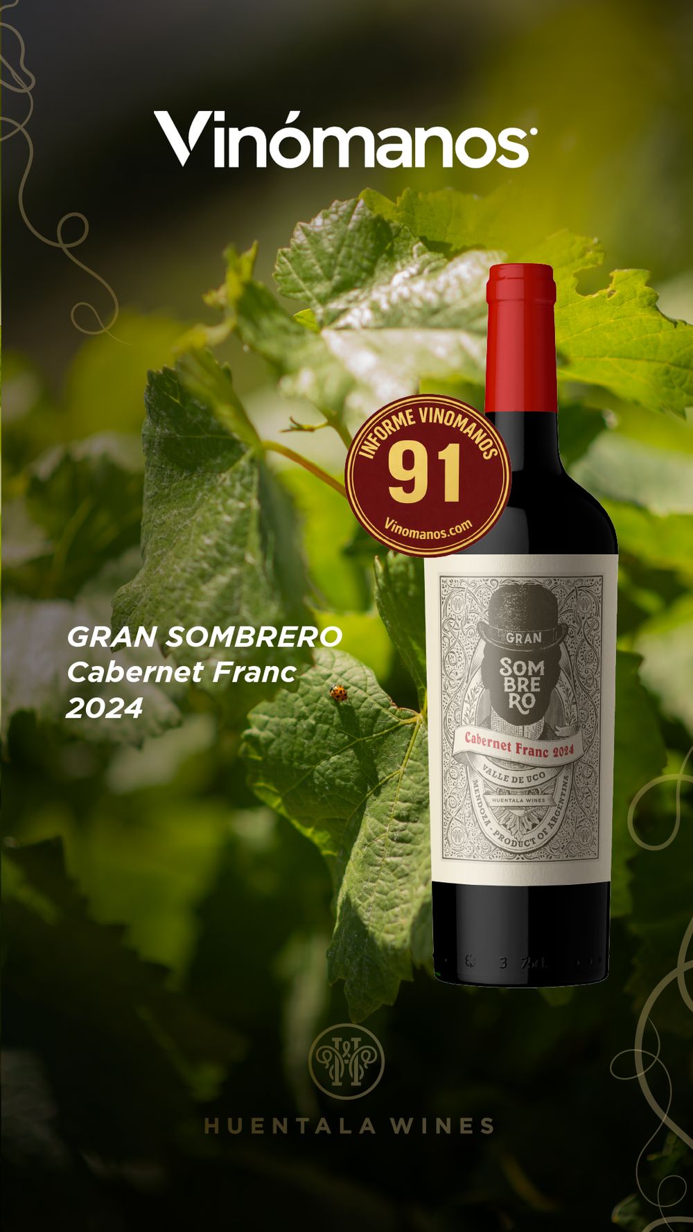 HW_Vinomanos 4 H