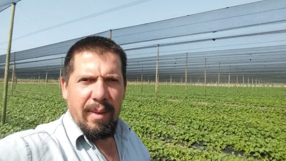Entrevista a Enzo García productor de General Alvear, líder de un emprendimiento agrícola que produce ciruelas, duraznos, tomates y uva.