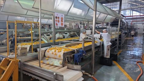 El durazno en lata es el producto que más se exporta y en 2024 entraron a la economía de Mendoza, unos 20 millones de dólares