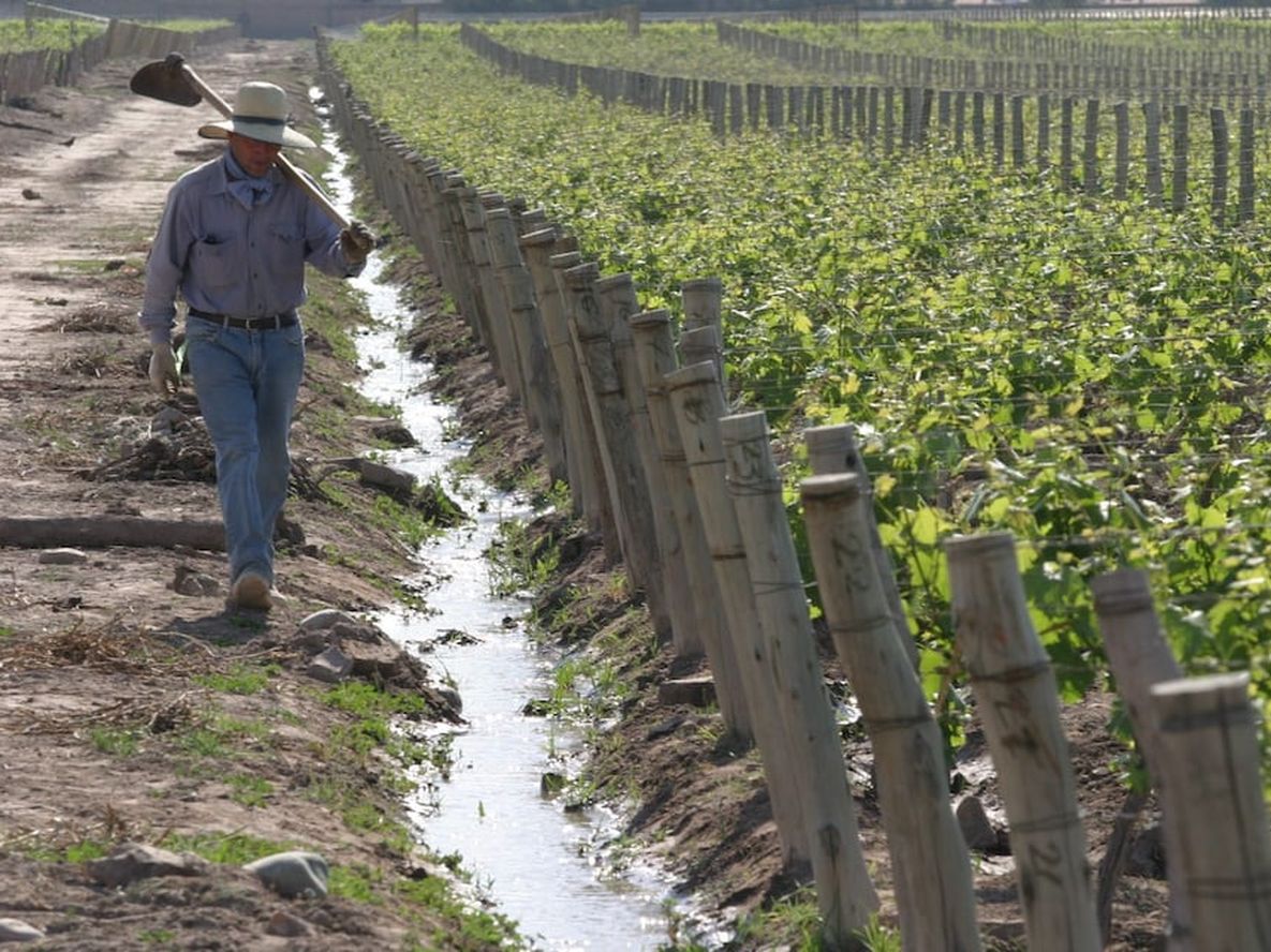 Foeva y las empresas llegaron a un acuerdo salarial y se cerró la paritaria vitivinícola hasta febrero.&nbsp;