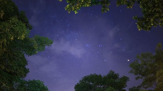 Los números que le traerán suerte hoy - Capricornio