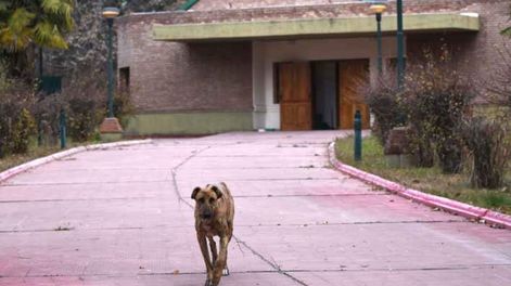 Víctimas de abusos de curas en el Próvolo recibirán casas del IPV y esperan una definición crucial de la Corte
