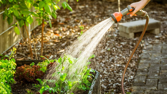 El riego no es lo único que importa a la hora de cuidar tu jardín.&nbsp;