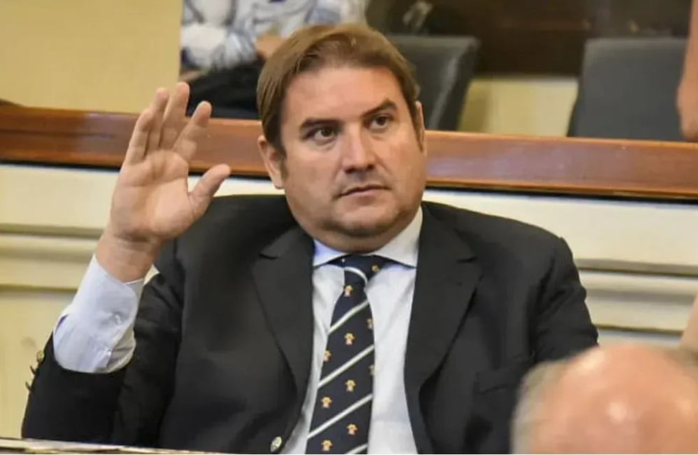 El senador Diego Pellegrini - Foto Ámbito