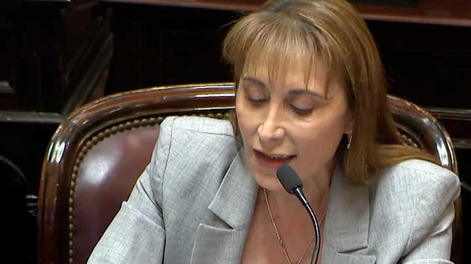 Fuerte cruce durante la sesión en el Senado