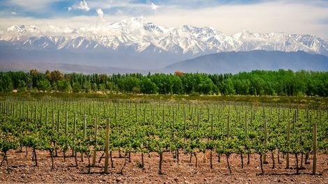 Los Andes | LI4RVFEP2RHVNAT2UI6VWIYBCE.jpg?quality=75&smart=true&auth=6e3af8cc560f4c4755dbb99ea47b70fd382800f3a30579206d971b9ad785a8e6&width=980&height=640