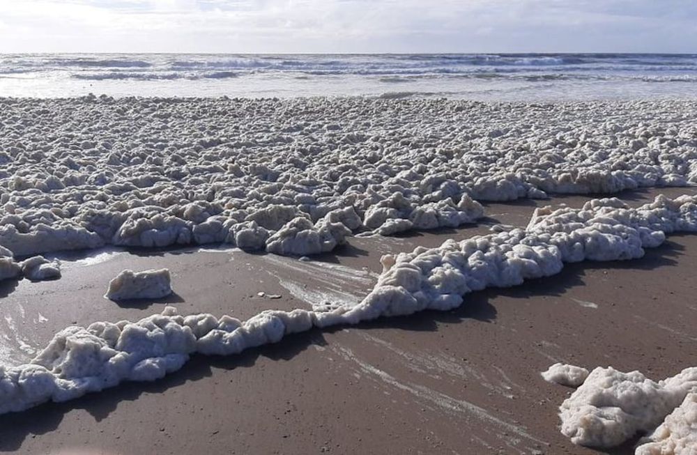 El extraño fenómeno con el que aparecieron las playas marplatenses.