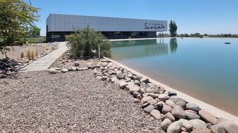 Diciembre en bodegas: dos buenas opciones para recorrer y su precio