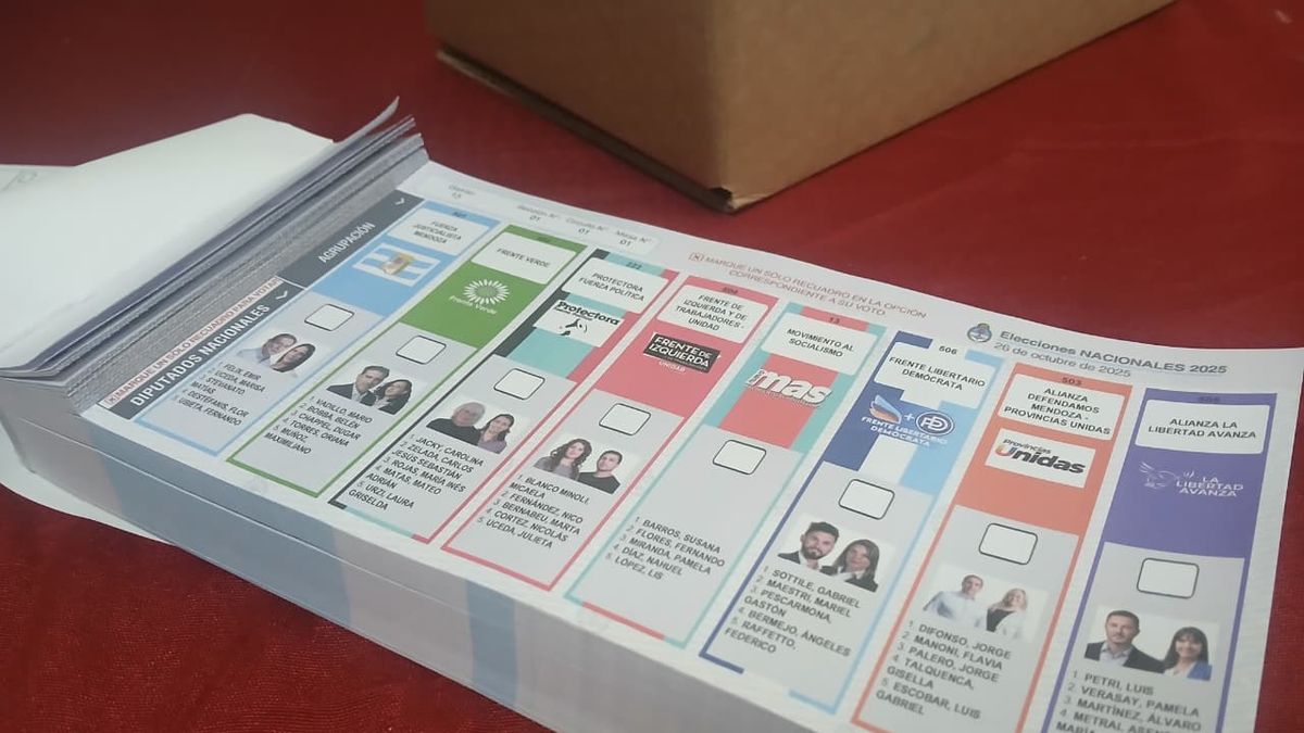 Elecciones en Mendoza: habrá boletas "gigantes" con candidaturas reales para guiar al votante en las aulas