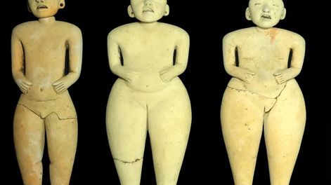 Foto: &nbsp;J. Przedwojewska-Szymaska / PASI