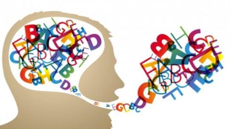 Mi casa, mi lenguaje - Por Liliana Reale