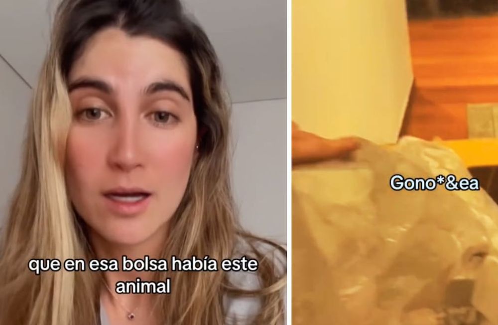 Al abrir el paquete de Amazon se topó con un animal / Captura de video @sofia.serrano.f