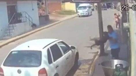 Detuvieron a un hombre que tiró a un perro en aceite caliente. (Captura de video)