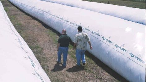 Bolsas. Tienen 60 metros de largo y pueden guardar 200 toneladas de trigo, maíz y soja.