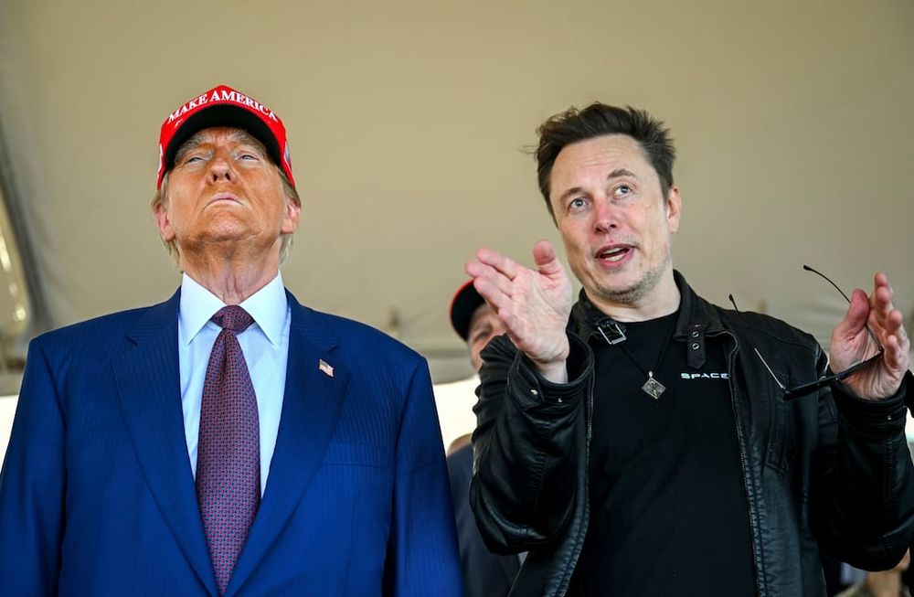 Donald Trump y Elon Musk