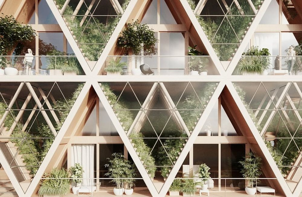 Un proyecto  que reconecta arquitectura y naturaleza