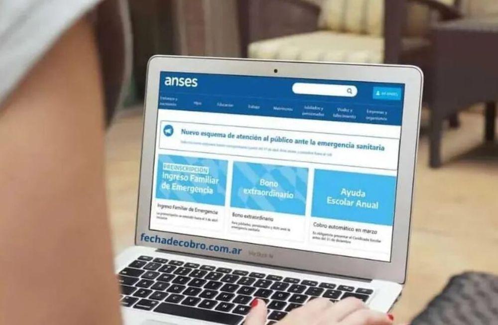Anses - Archivo