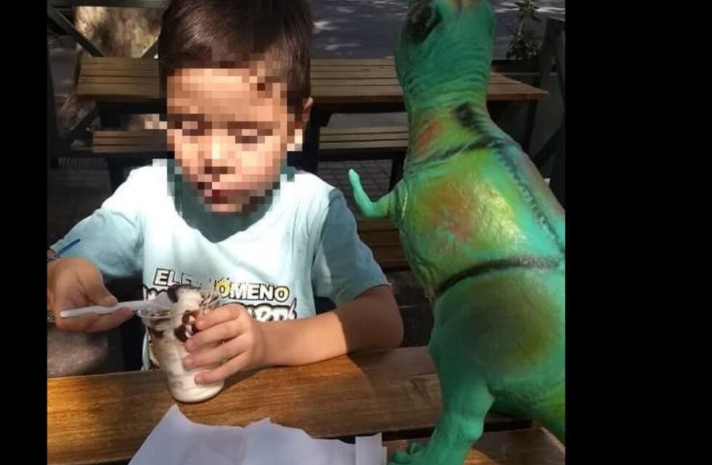 Conmovedor pedido de un nene mendocino para que lo ayuden a encontrar un juguete