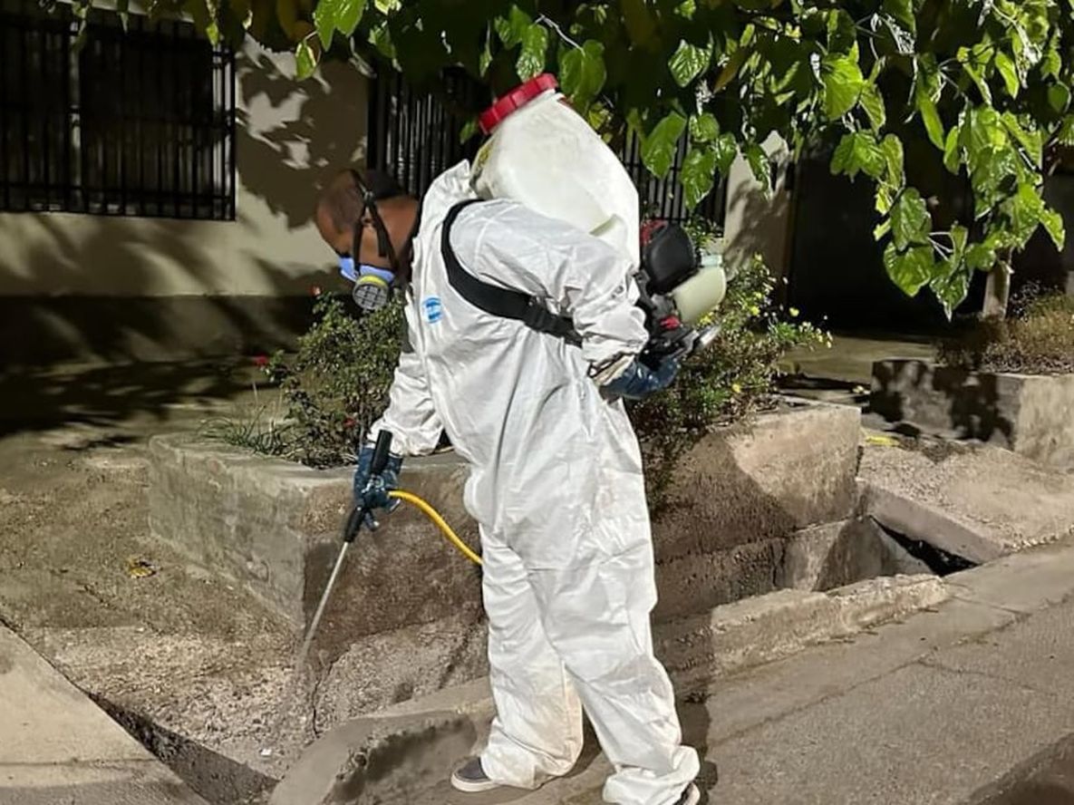 Maipú lucha contra el dengue