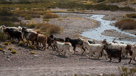 Los Andes | Foto: Ignacio Blanco / Los Andes