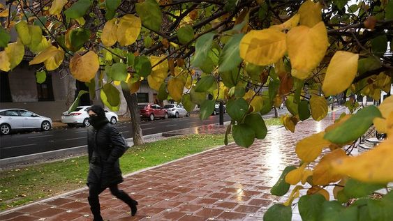 Lluvias aisladas se esperan en gran parte de la provincia desde el jueves. Las nevadas serán de moderada intensidad. | Foto: Ignacio Blanco / Los Andes