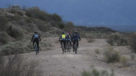 Multas más caras por destruir flora nativa en Mendoza. Foto Los Andes