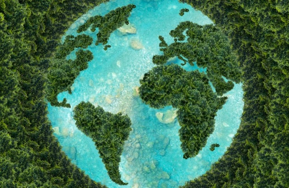 La “salud” planetaria (y humana),  ¿quo vadis?