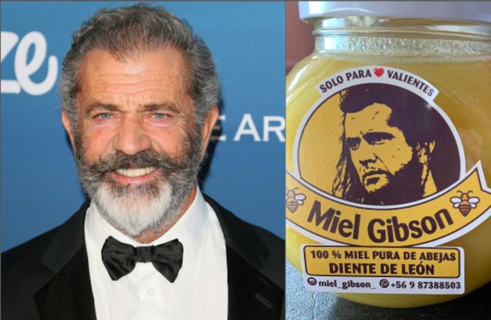 Mel Gibson demandó a la chilena que vendía frascos de miel y a raíz de ello aumentó sus ventas.
