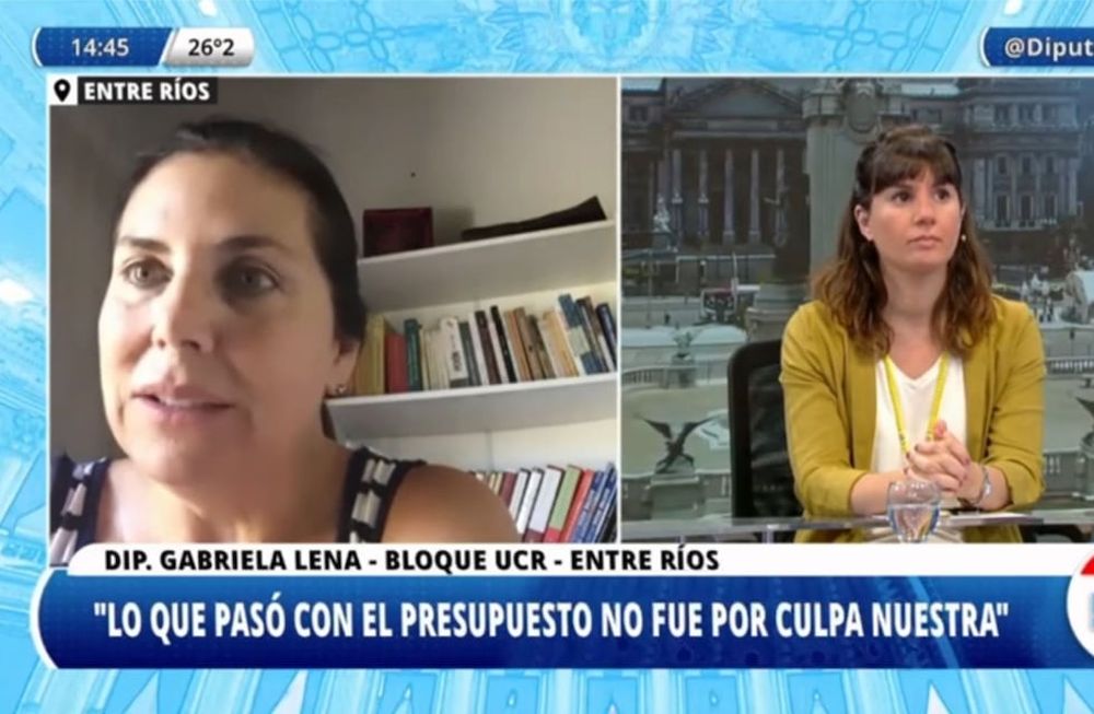“Va a ser una cámara diferente donde los proyectos van a tener que consensuarse”, destacó Gabriela Lena, del bloque UCR, en DTV. / Foto: Captura de video