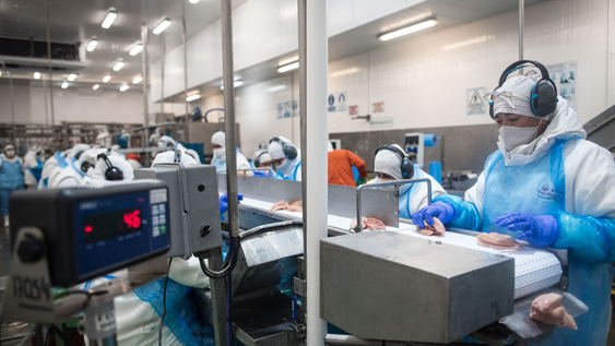 La reapertura de las exportaciones de carne aviar ocurre tras la recuperación del estatus sanitario.&nbsp;