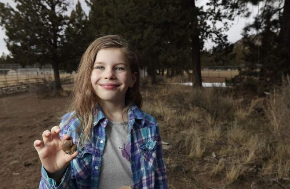 Una niña encontró un fósil de 65 millones de años mientras jugaba en un parque de EEUU