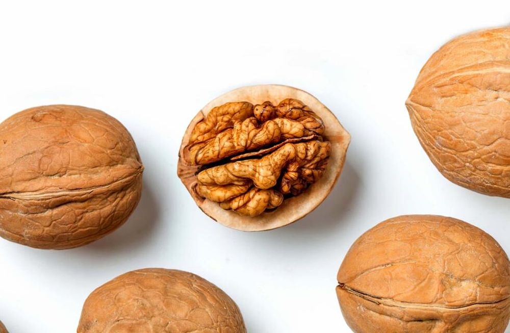 Recomiendan comer nueces para cuidar la memoria.