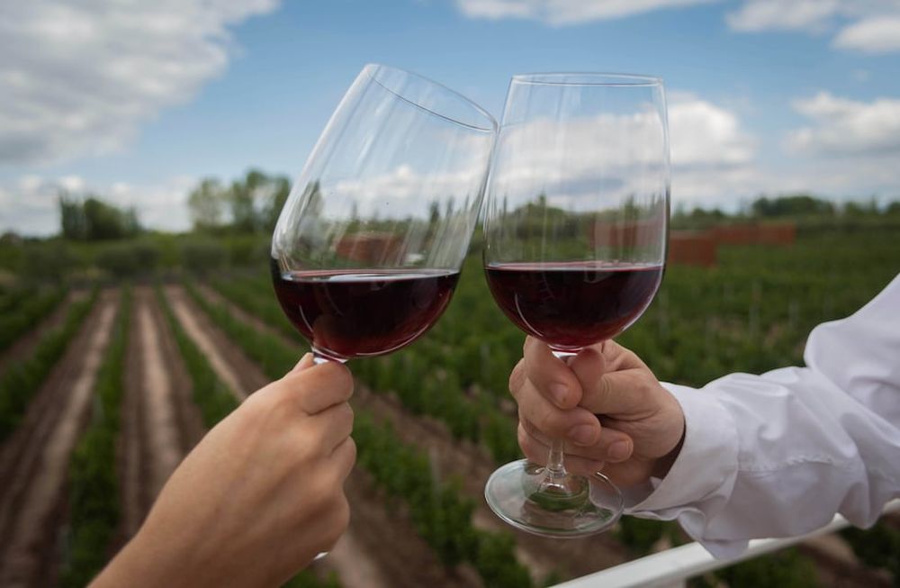 En el día del vino argentino, conocé más de la bebida nacional. - Ignacio Blanco / Los Andes