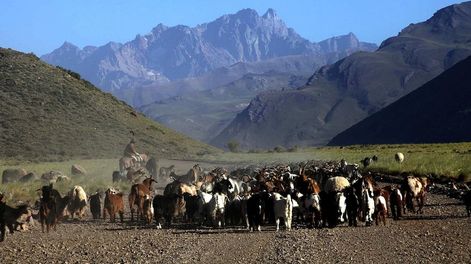 Los Andes | EWDLQX7C7JDXJD3B3SA5DDPOJE.jpg?quality=75&smart=true&auth=68c6d31dbab595ad8953d4585756dc269fc0a849f407ab3854382555fa10ea06&width=980&height=640