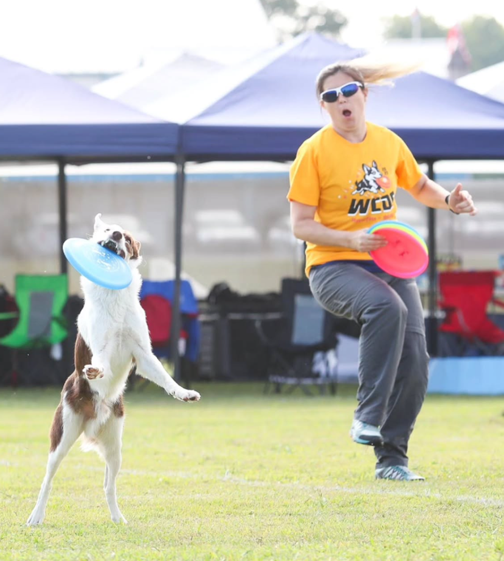 C&oacute;mo es y d&oacute;nde se practica el discdog, la disciplina de perros que tiene campeonas del mundo argentinas