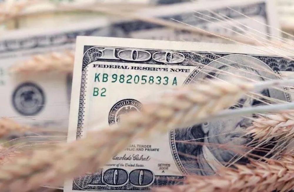El agro liquida 17,8% por debajo de 2019 y mete más presión al dólar