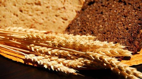 Celiaquía: se suman más de 300 pacientes cada año