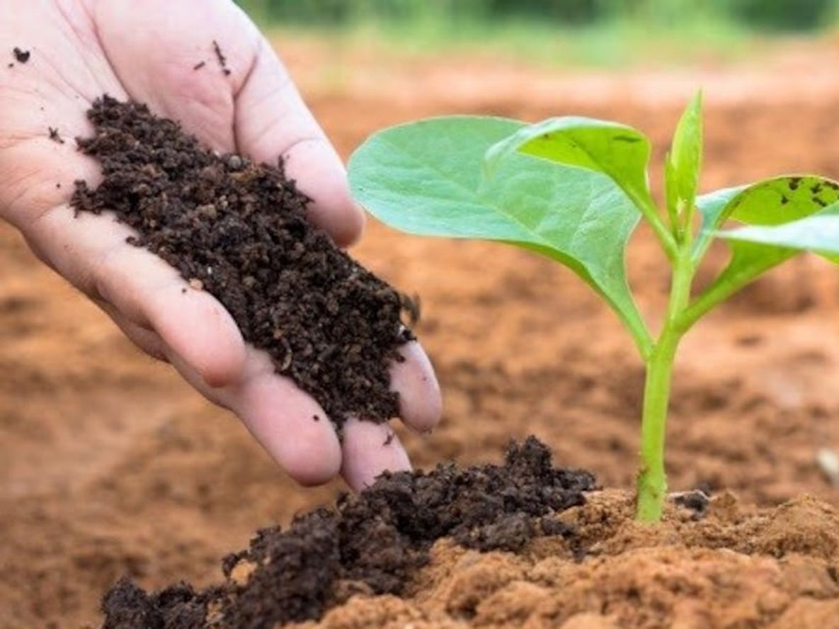 Ofrecen una capacitación sobre certificaciones del agro que permiten mejorar las exportaciones