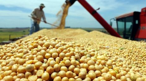 El rol del agro en el plan económico de Bolsonaro - Por Jorge Castro