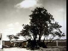 Una ciudad entera fue trasladada en 1977 para construir la represa de Salto Grade.