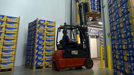 Los Andes | La empresa mendocina Don Jaime, comercializa bananas de Ecuador, frutillas y Kiwis de Chile en sus plantas  y cámaras refrigerantes en el Mercado Cooperativo de Guaymallén/ Foto: Orlando Pelichotti